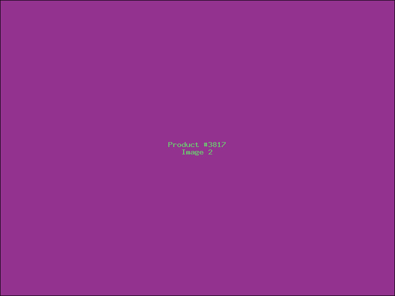 Example Product 3817 - Image 2