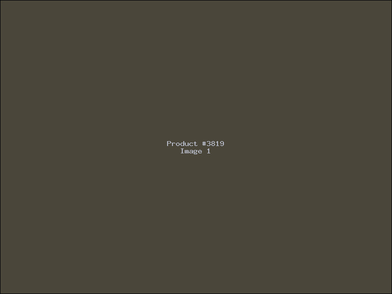 Example Product 3819
