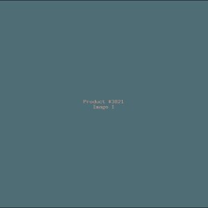 Example Product 3821