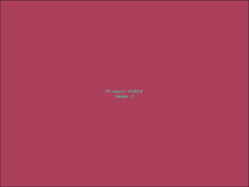 Example Product 3824 - Image 2
