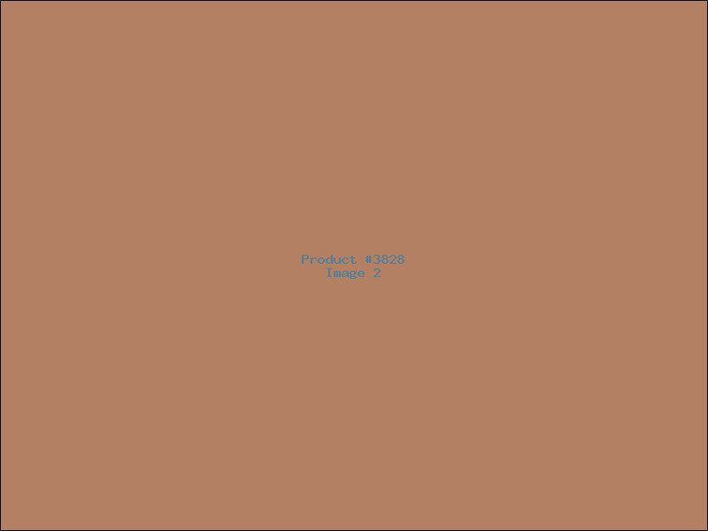 Example Product 3828 - Image 2