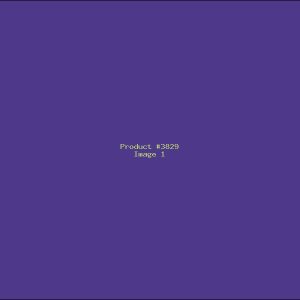 Example Product 3829