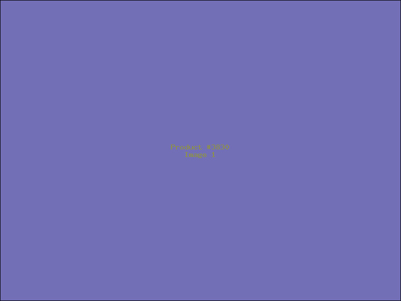 Example Product 3830
