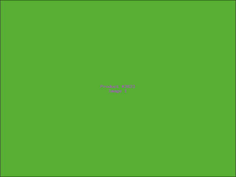 Example Product 3833