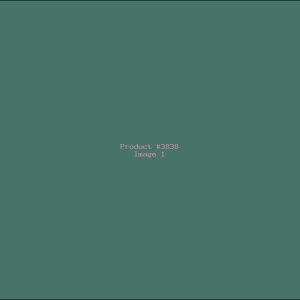 Example Product 3838
