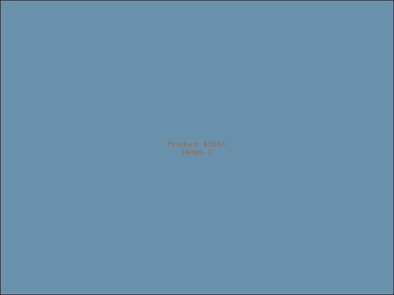 Example Product 3843