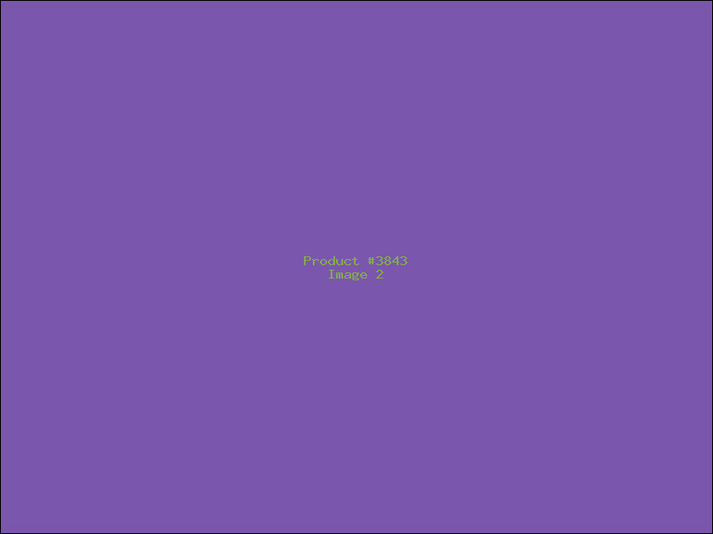 Example Product 3843 - Image 2