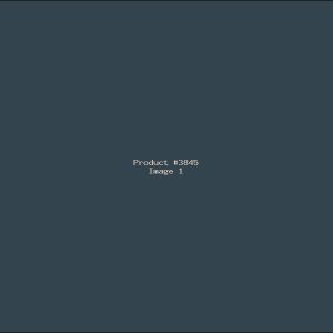 Example Product 3845