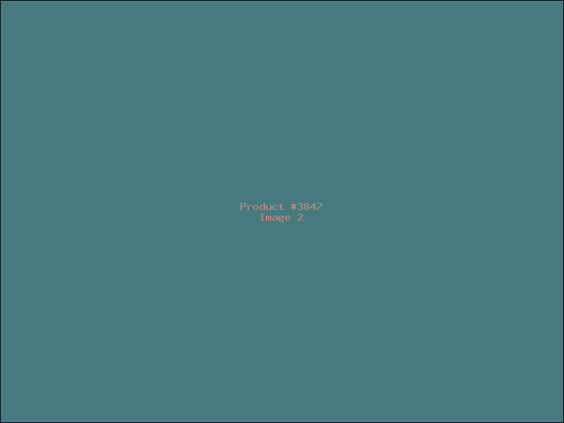 Example Product 3847 - Image 2