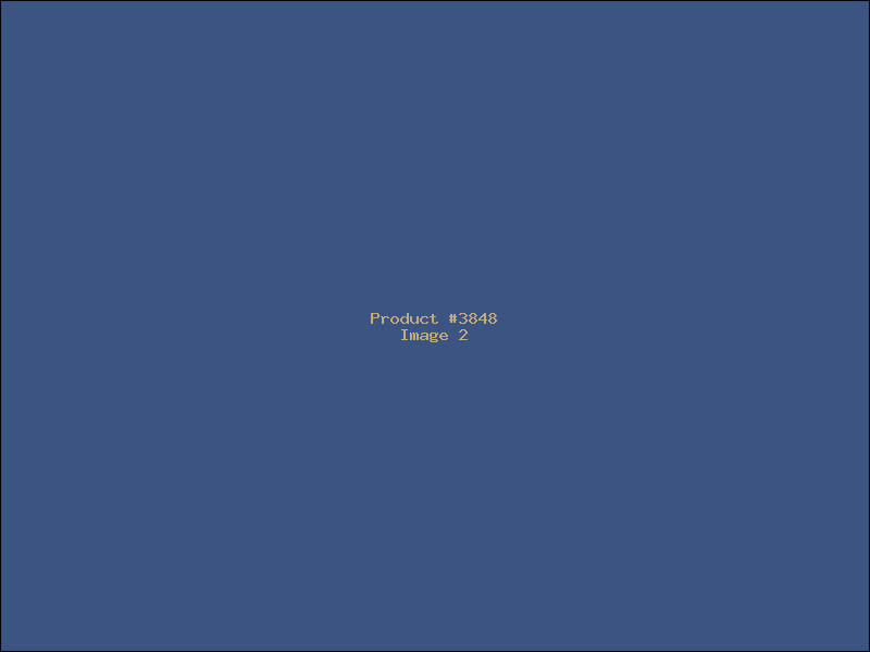 Example Product 3848 - Image 2