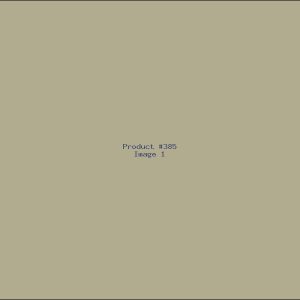 Example Product 385