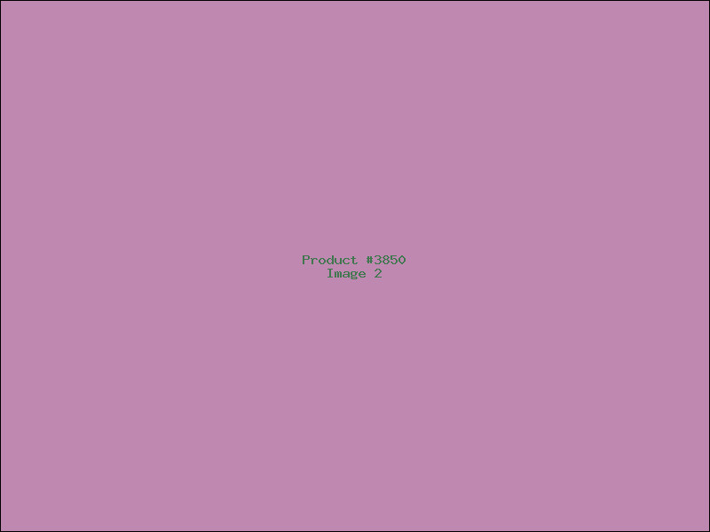 Example Product 3850 - Image 2