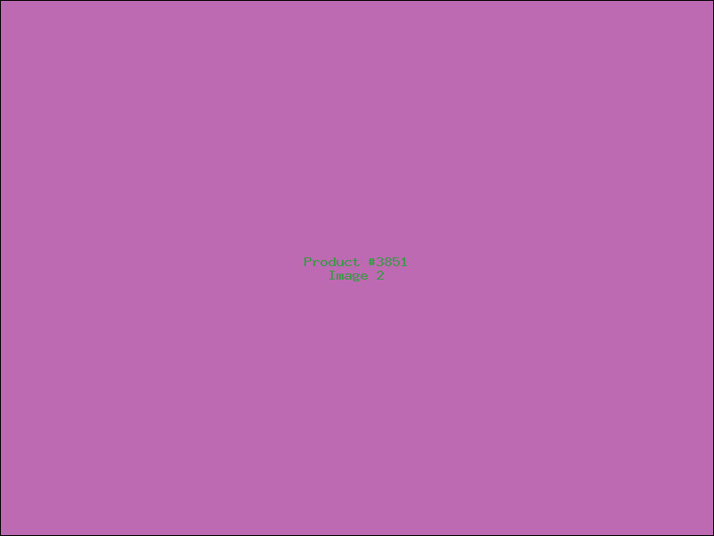 Example Product 3851 - Image 2