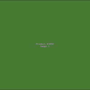 Example Product 3858