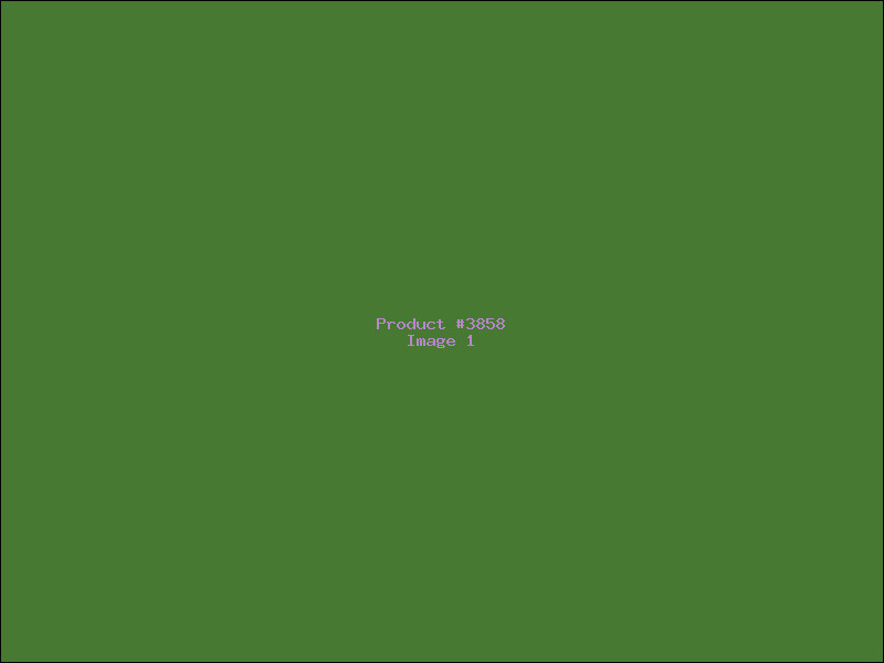 Example Product 3858