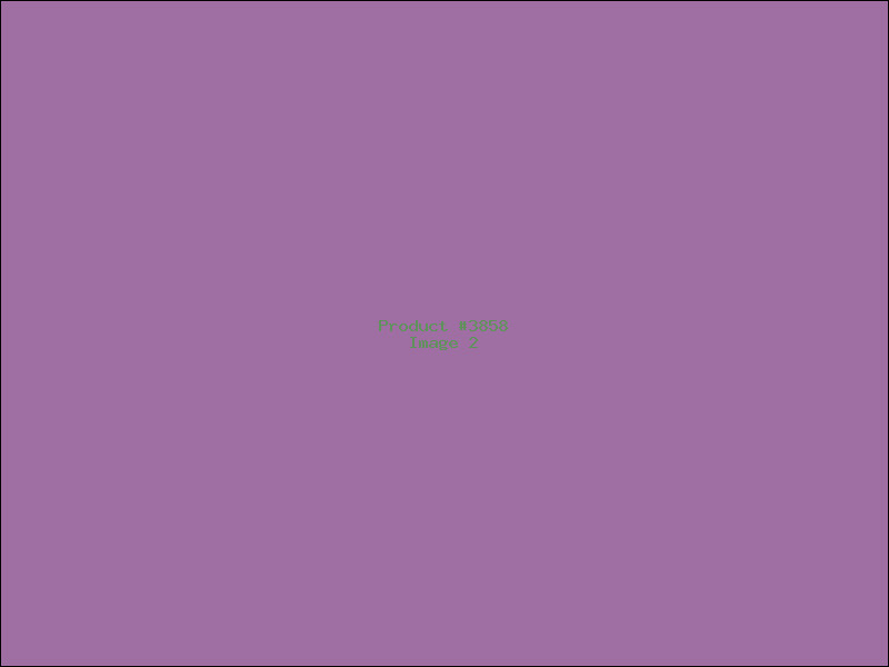 Example Product 3858 - Image 2