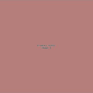 Example Product 3861