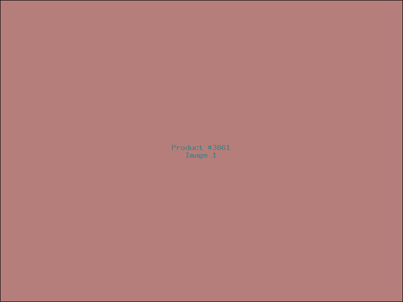 Example Product 3861