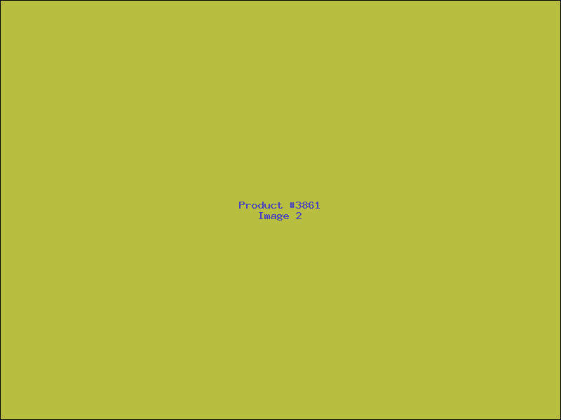 Example Product 3861 - Image 2