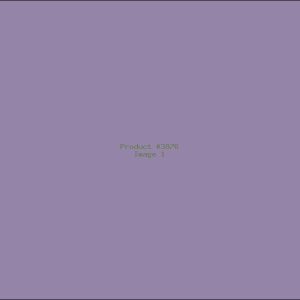 Example Product 3876