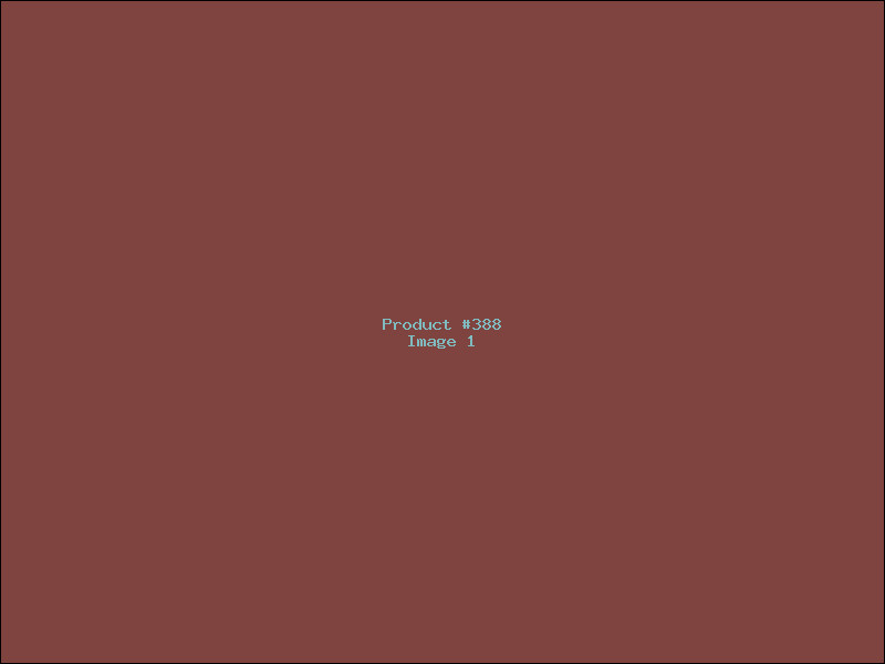 Example Product 388