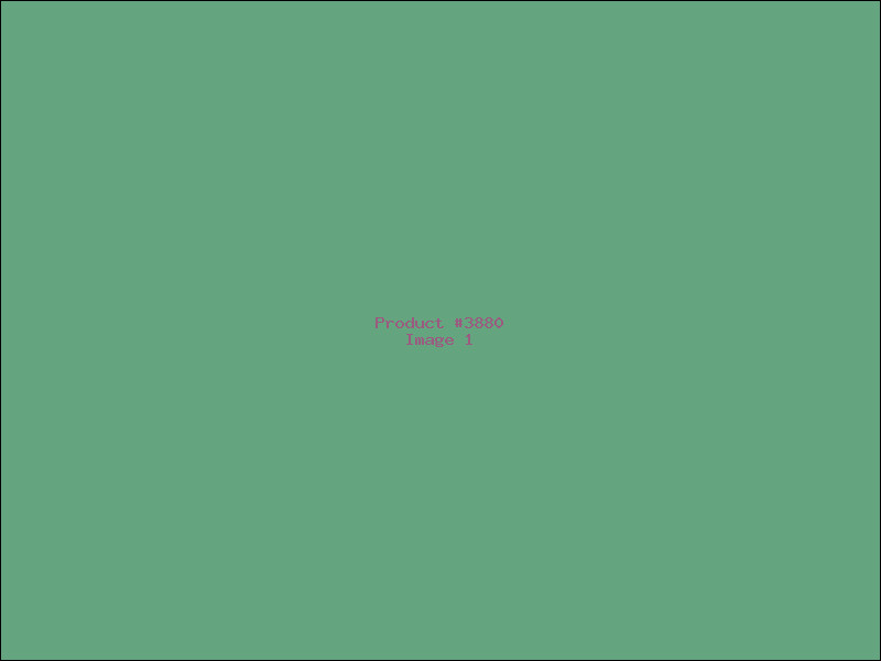 Example Product 3880