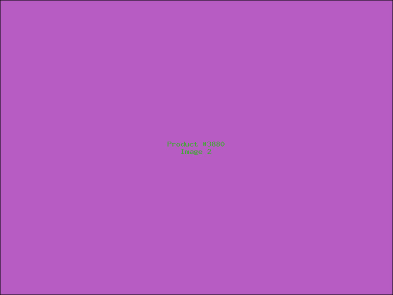 Example Product 3880 - Image 2
