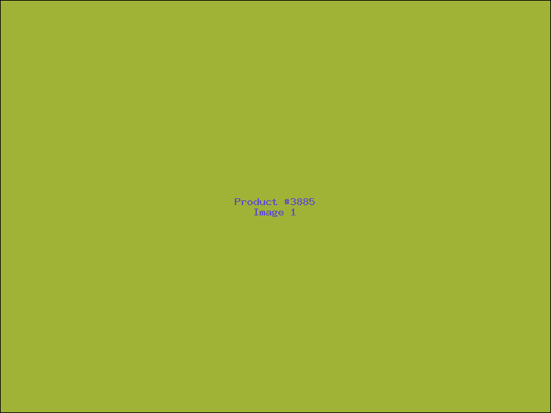 Example Product 3885