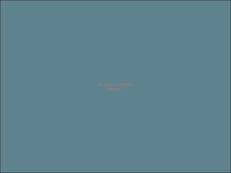 Example Product 3886