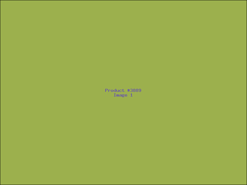 Example Product 3889