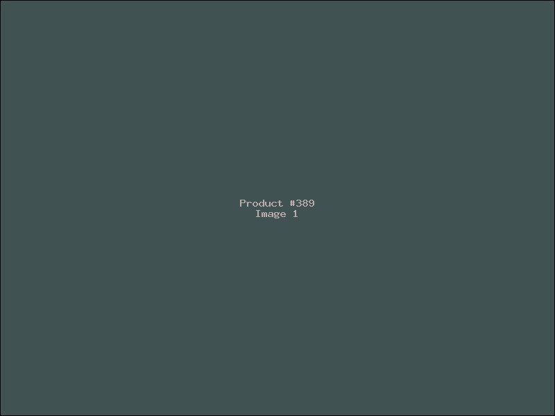 Example Product 389