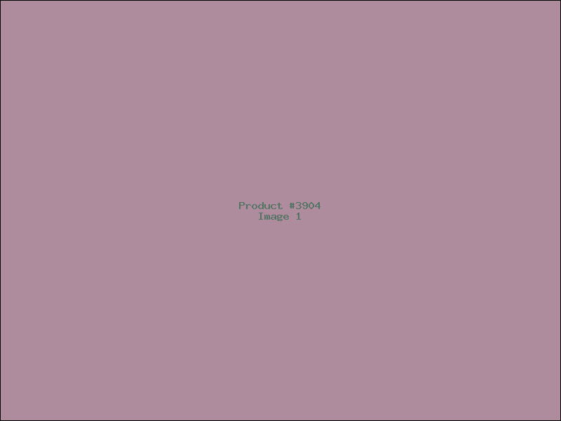 Example Product 3904