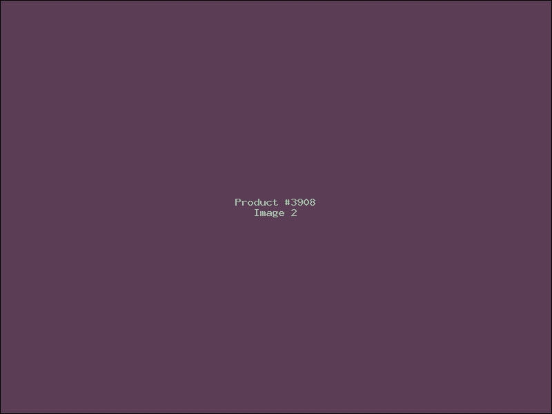 Example Product 3908 - Image 2