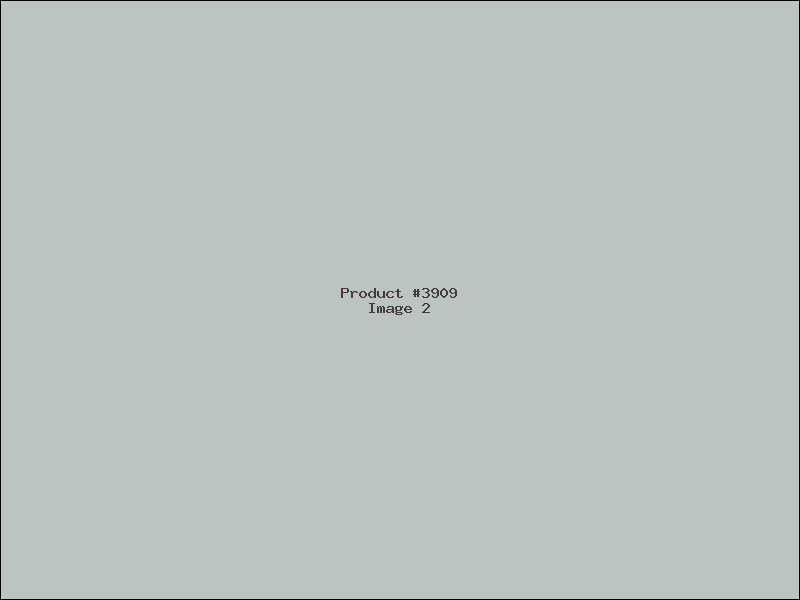 Example Product 3909 - Image 2