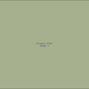 Example Product 391
