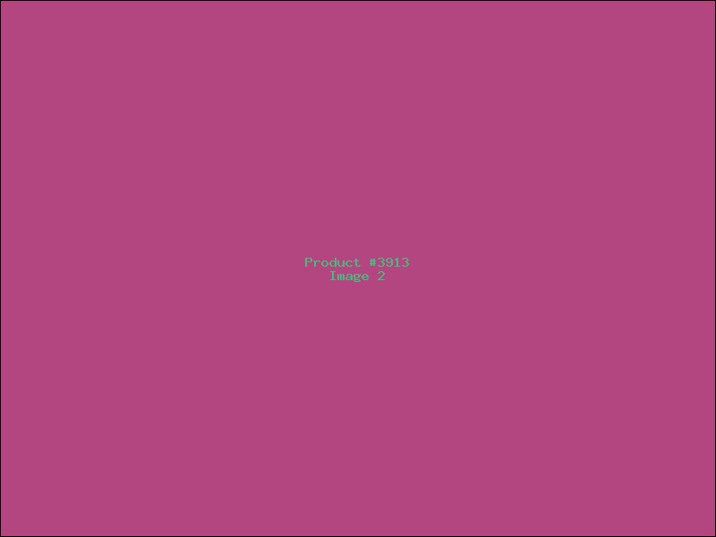 Example Product 3913 - Image 2