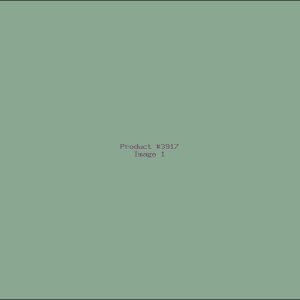 Example Product 3917