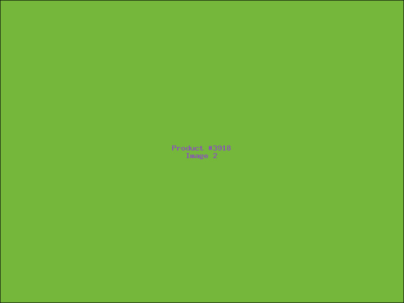 Example Product 3918 - Image 2