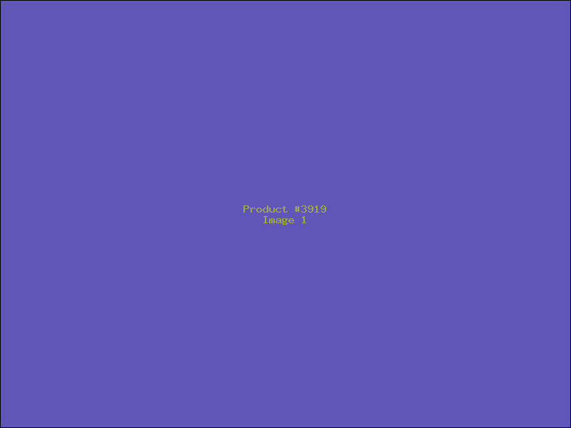 Example Product 3919