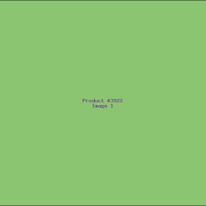 Example Product 3922