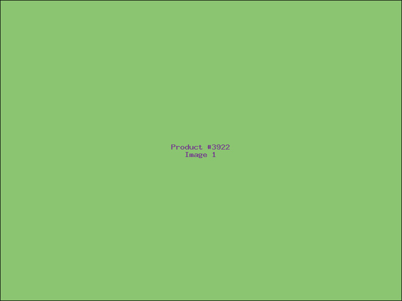 Example Product 3922