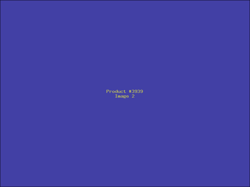 Example Product 3939 - Image 2