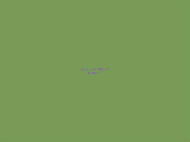 Example Product 3947 - Image 2