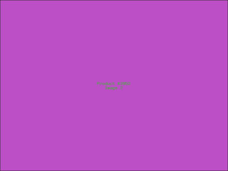 Example Product 3952 - Image 2