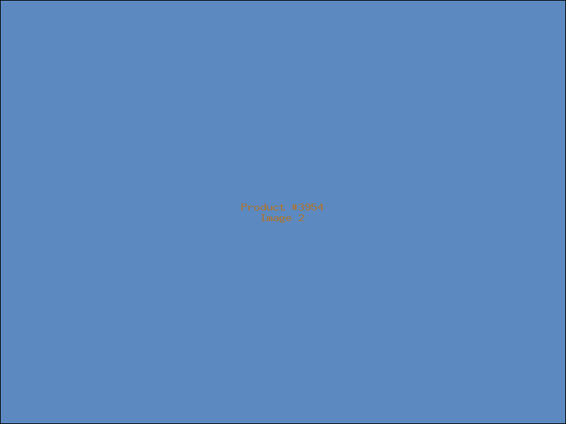 Example Product 3954 - Image 2