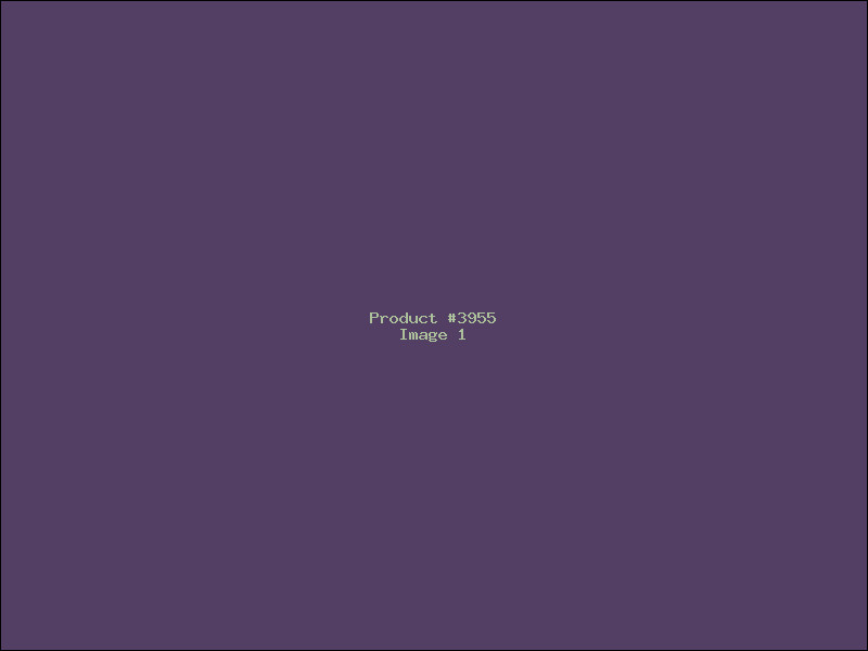 Example Product 3955