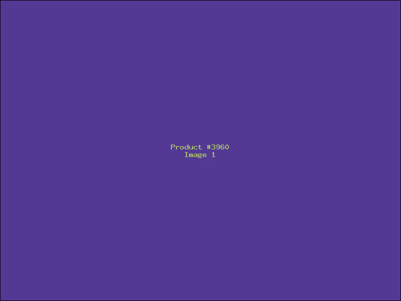 Example Product 3960