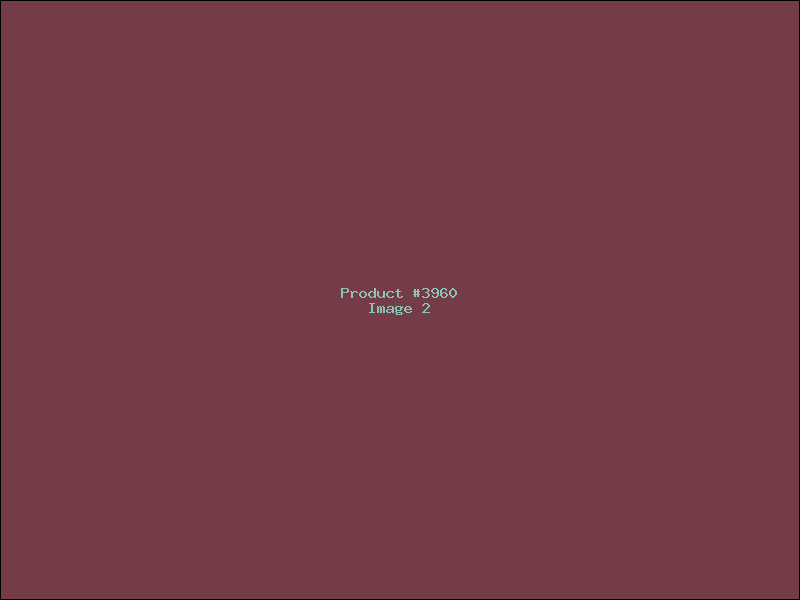 Example Product 3960 - Image 2