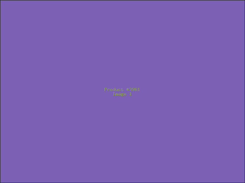 Example Product 3961