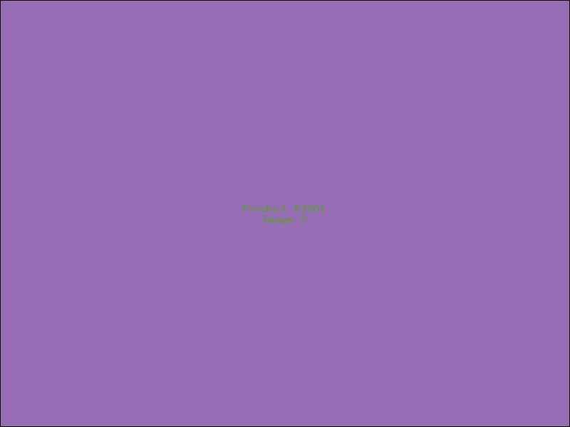 Example Product 3961 - Image 2